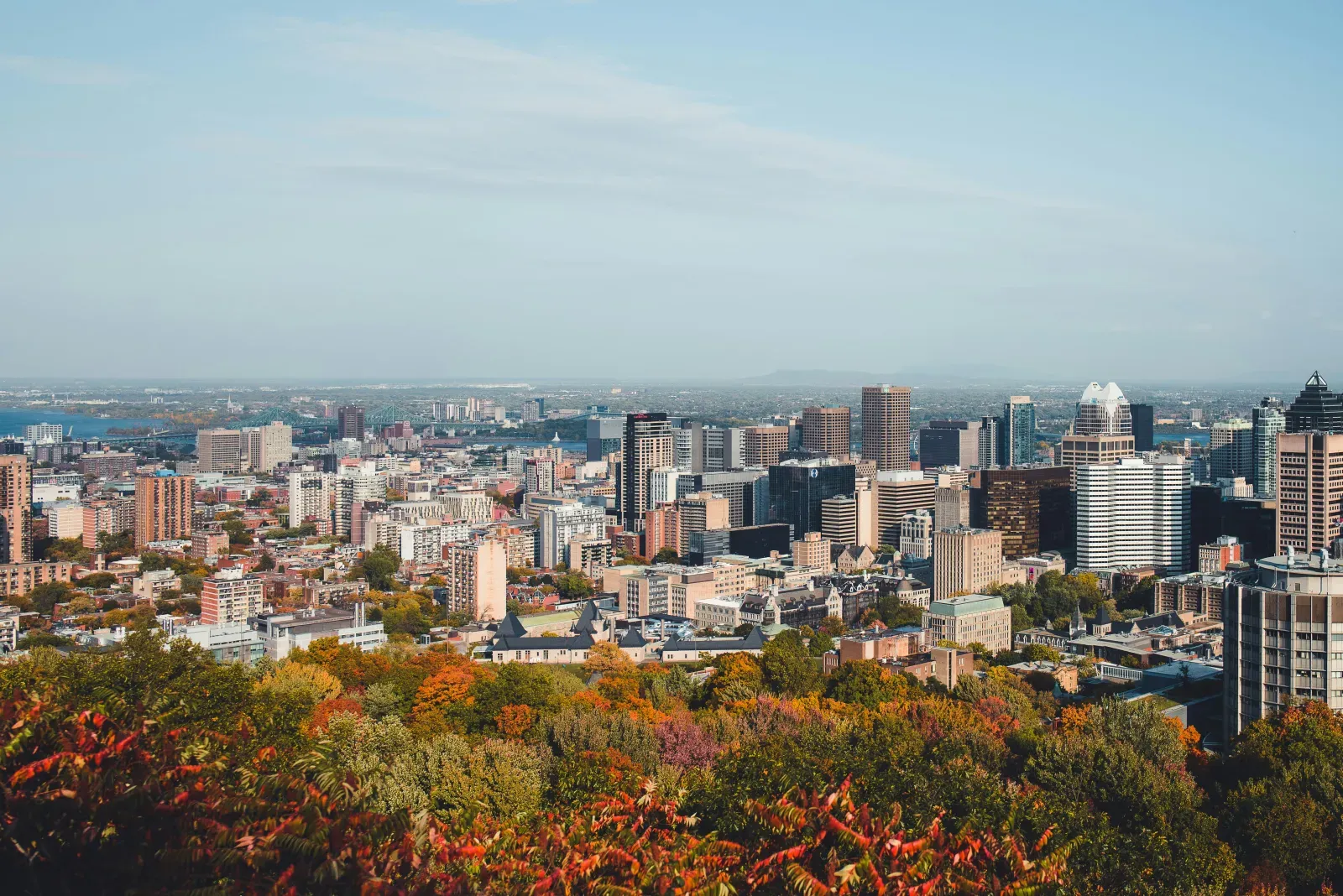 Stadtansicht von Montreal – Symbolbild für Auslandsumzüge