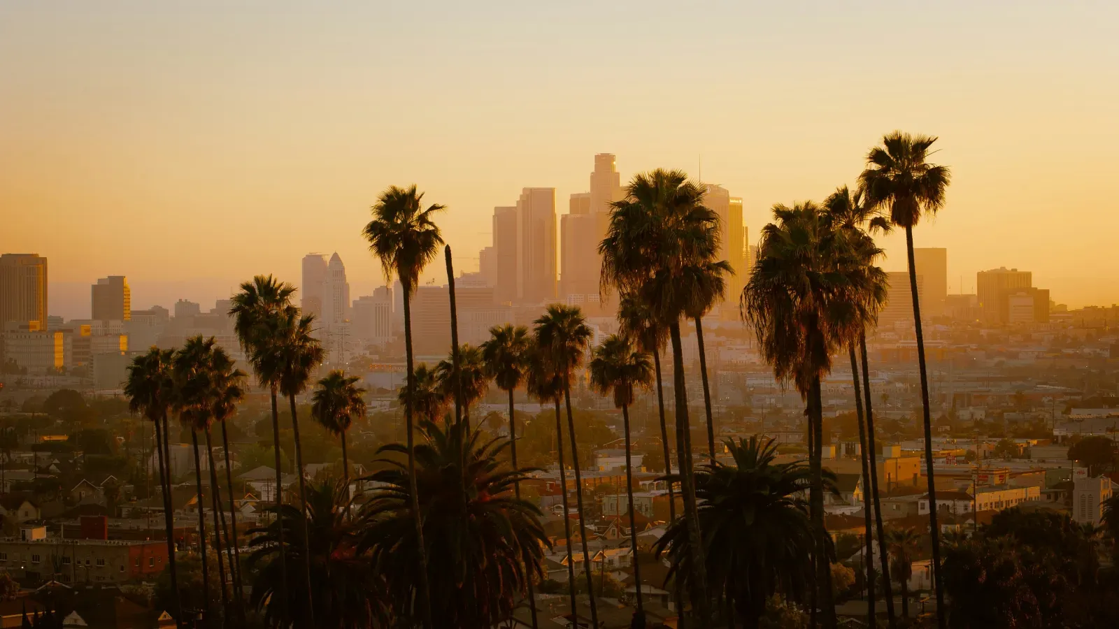 Stadtansicht von Los Angeles – Symbolbild für Auslandsumzüge