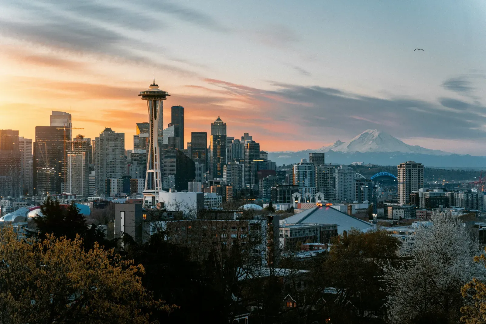 Stadtansicht von Seattle – Symbolbild für Auslandsumzüge