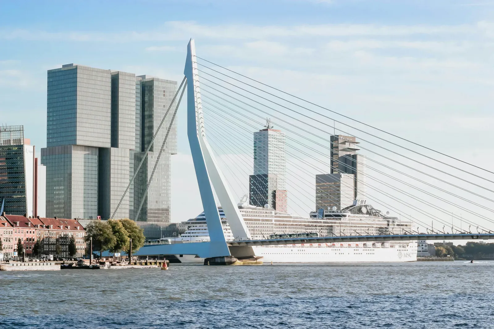 Stadtansicht von Rotterdam – Symbolbild für Auslandsumzüge